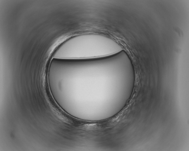 X0000110890054200906181015
