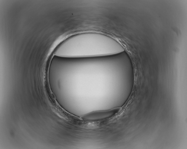 X0000110890056200906181015