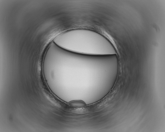 X0000110890059200906181015