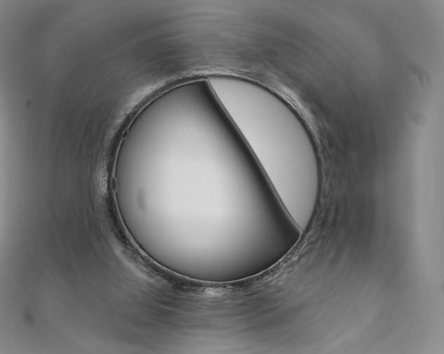 X0000110890060200906181015