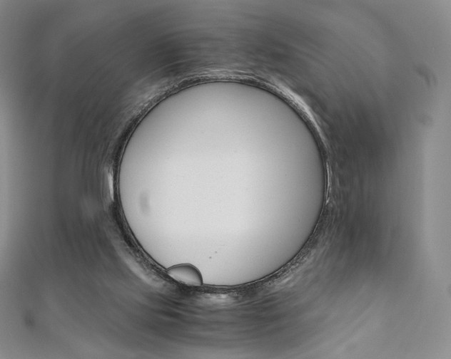 X0000110890061200906181015