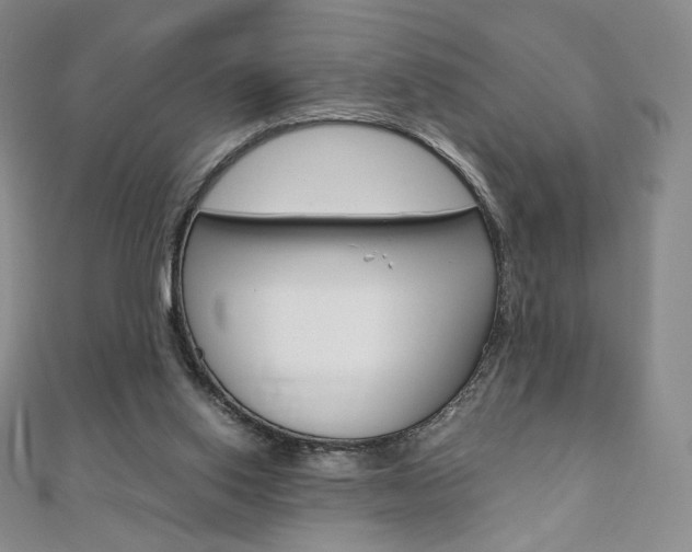 X0000110890062200906181015