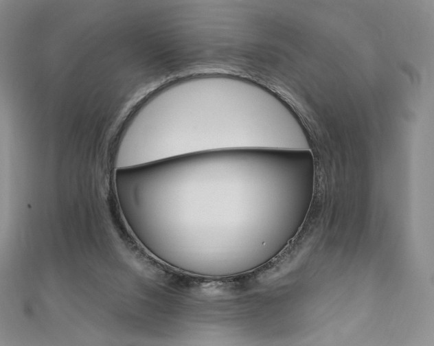 X0000110890064200906181015