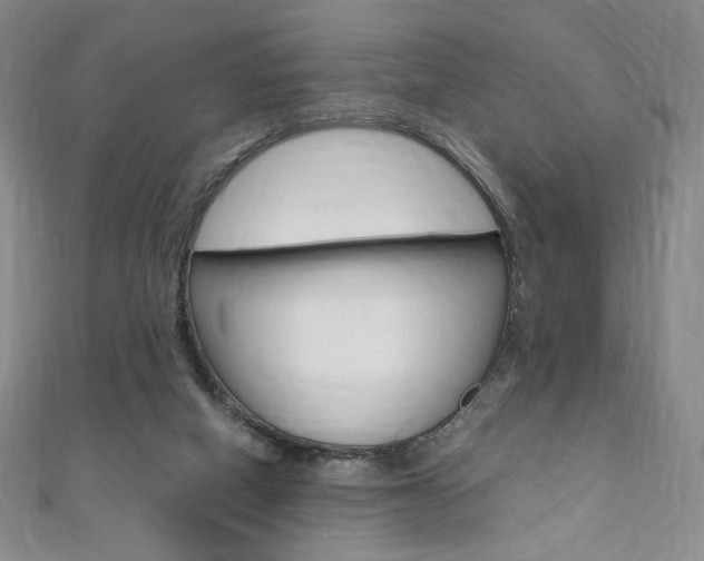 X0000110890066200906181015