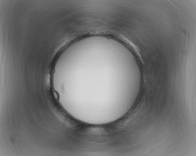 X0000110890067200906181015