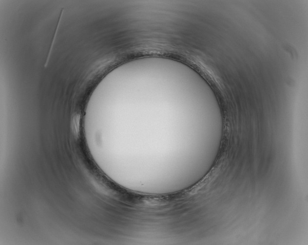 X0000110890070200906181015