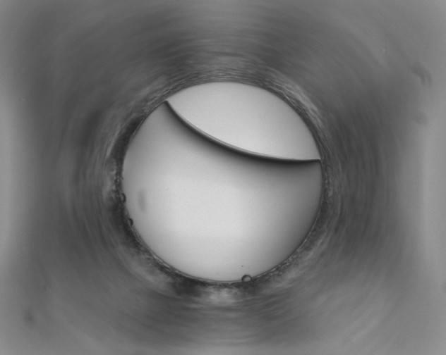 X0000110890073200906181015