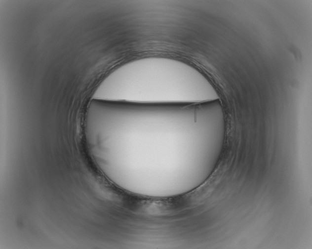 X0000110890074200906181015