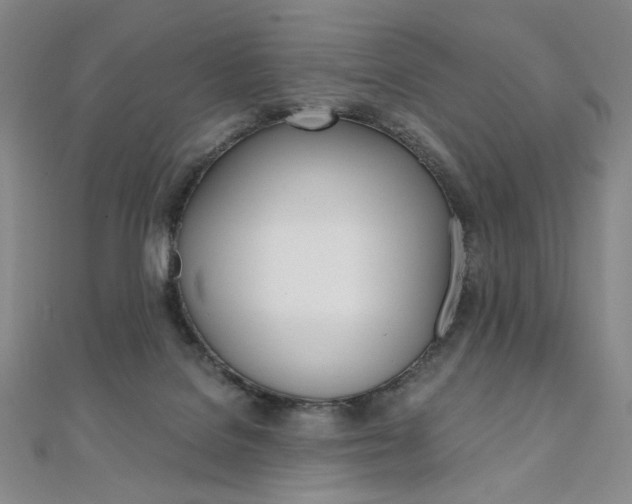 X0000110890076200906181015