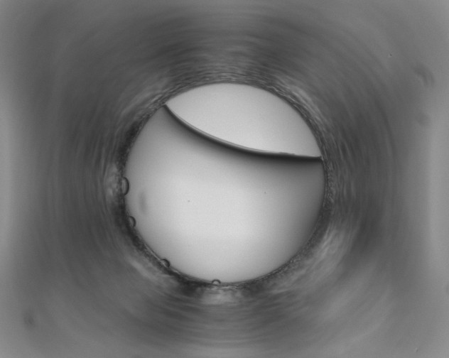 X0000110890077200906181015