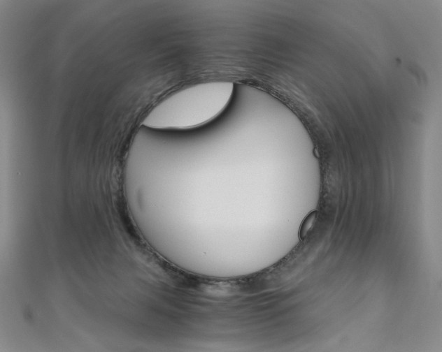 X0000110890079200906181015