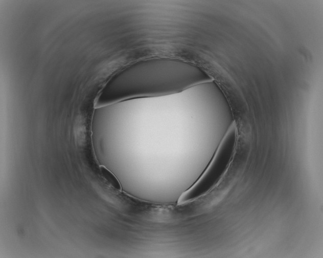 X0000110890080200906181015