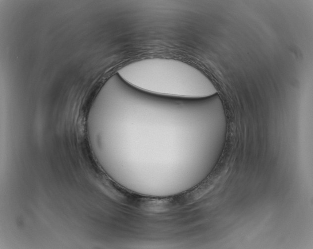 X0000110890081200906181015
