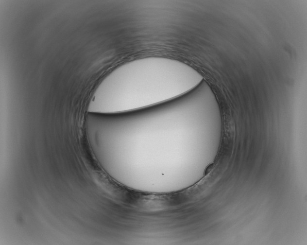 X0000110890082200906181015