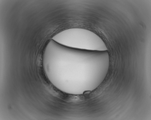X0000110890083200906181015