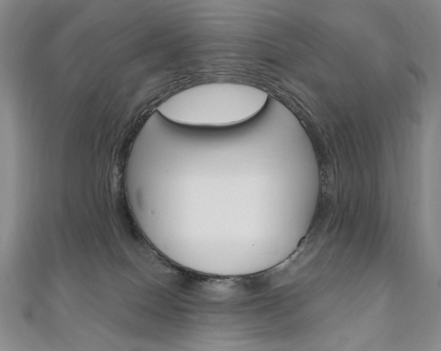 X0000110890086200906181015