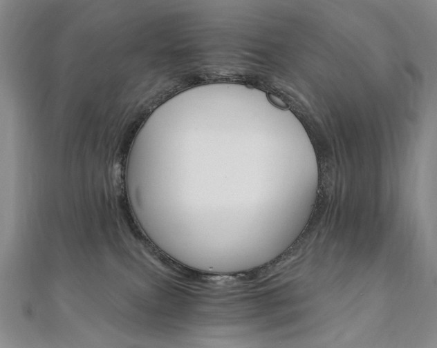 X0000110890087200906181015