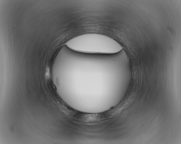X0000110890089200906181015