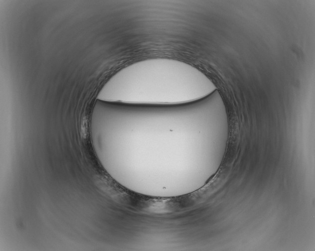 X0000110890090200906181015