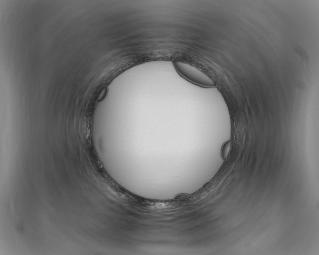 X0000110890091200906181015