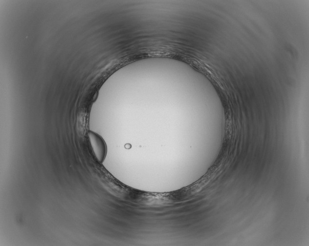 X0000110890093200906181015