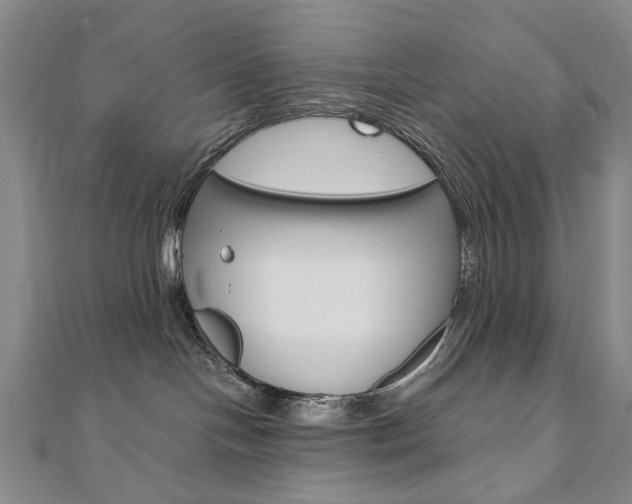 X0000110890094200906181015