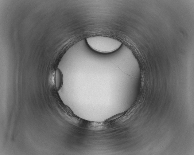 X0000110890095200906181015