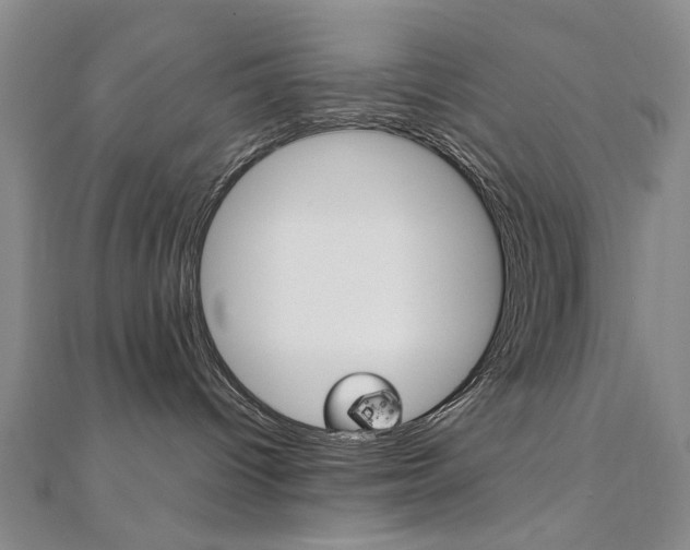 X0000110890096200906181015