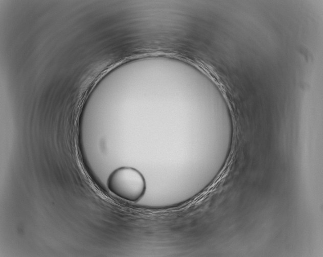 X0000110890097200906181014