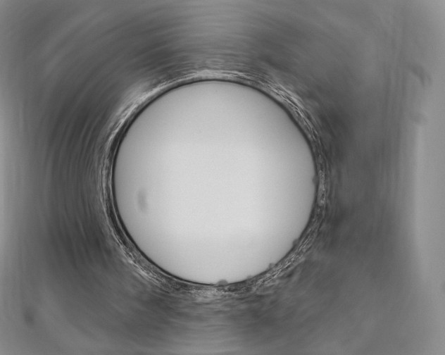 X0000110890098200906181014