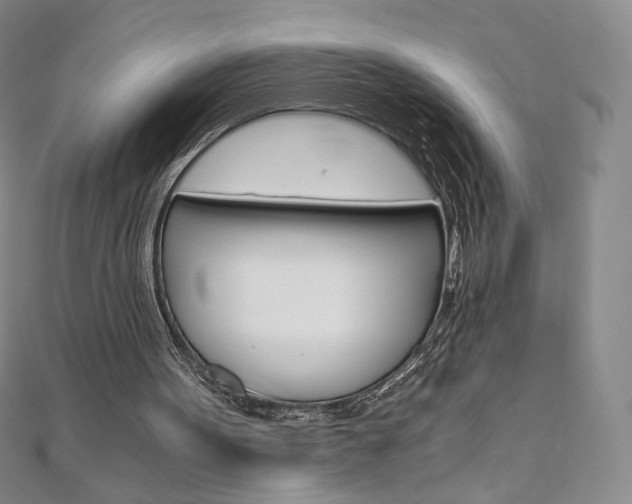 X0000110890099200906181014