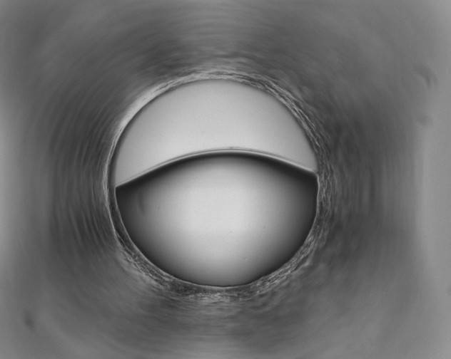 X0000110890100200906181014