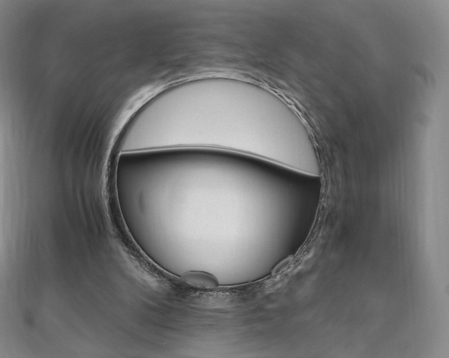 X0000110890104200906181014