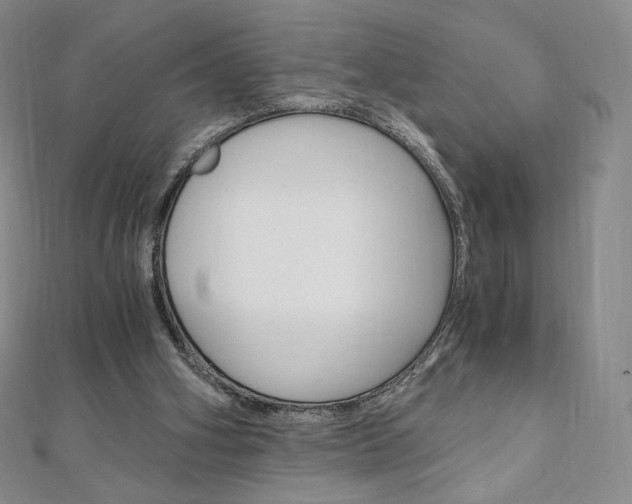 X0000110890106200906181014