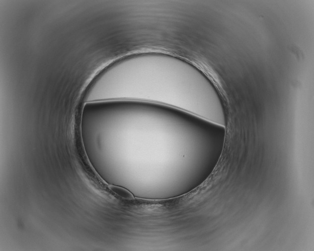 X0000110890108200906181014