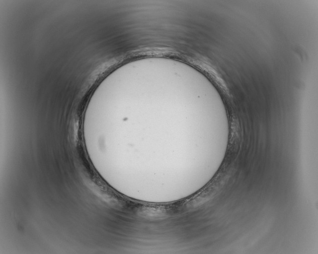 X0000110890110200906181014