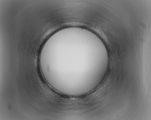 X0000110890111200906181014