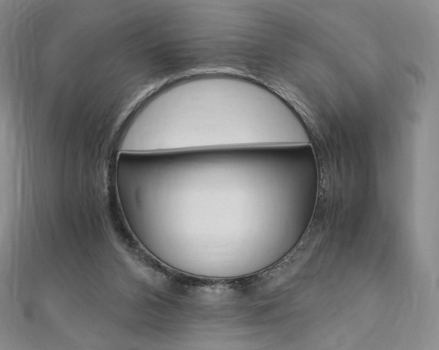 X0000110890112200906181014