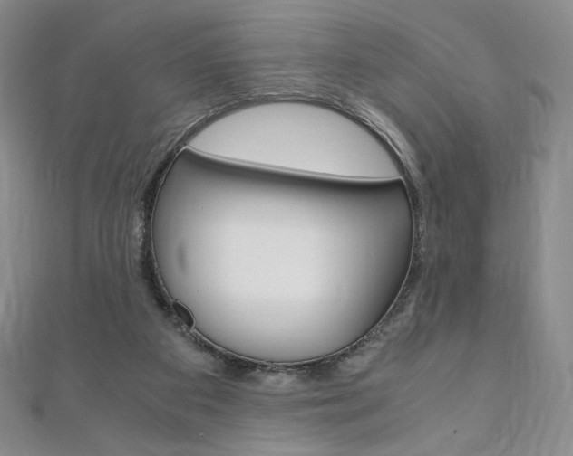 X0000110890113200906181014