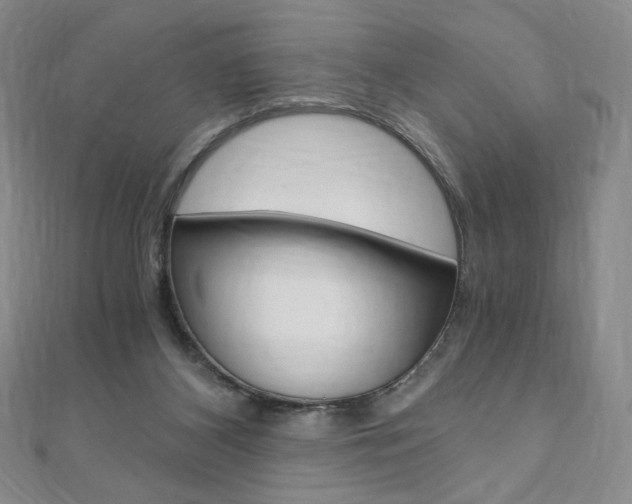 X0000110890116200906181014