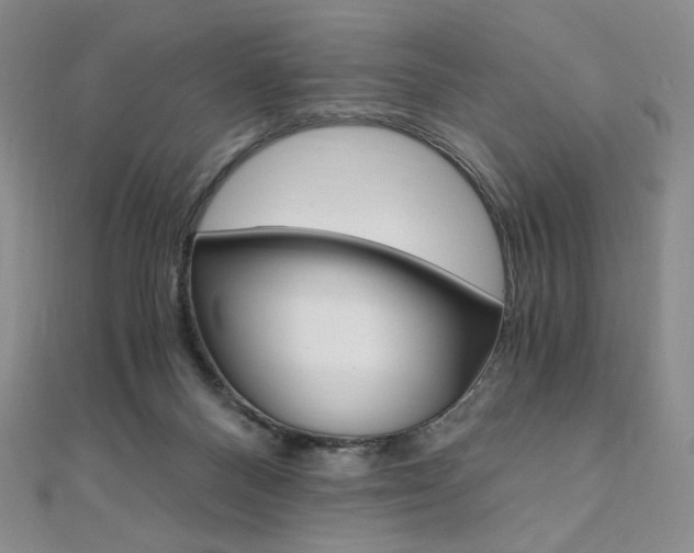 X0000110890120200906181014