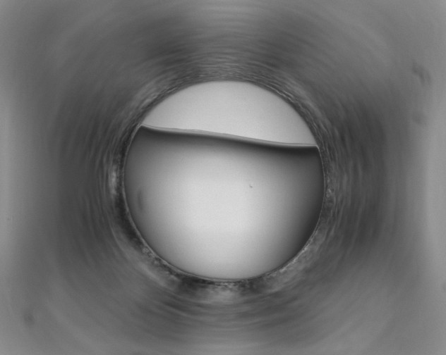 X0000110890124200906181014
