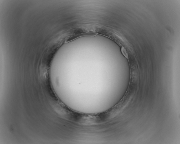 X0000110890125200906181014
