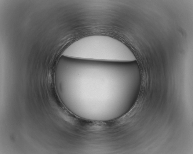 X0000110890128200906181014