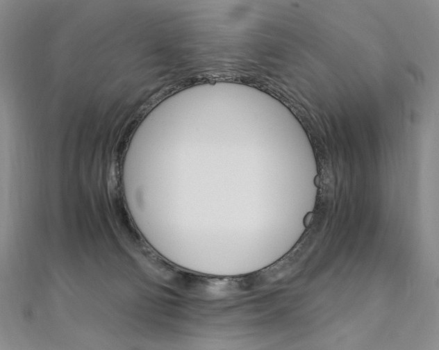 X0000110890130200906181014