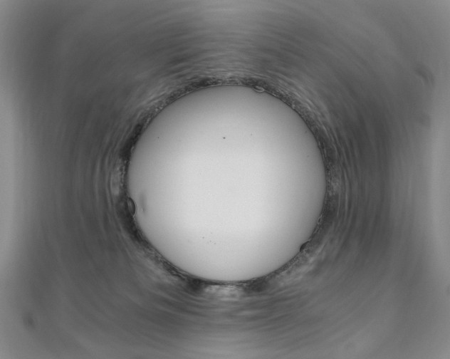X0000110890133200906181014