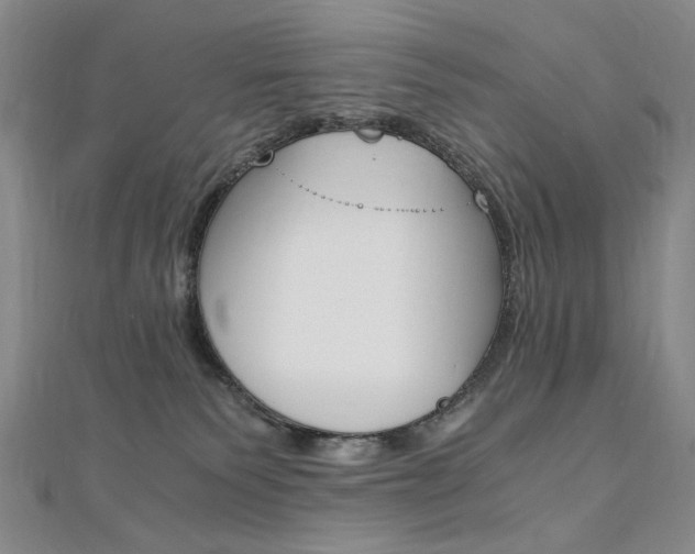 X0000110890135200906181014