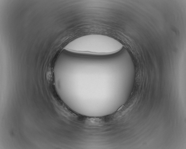 X0000110890137200906181014