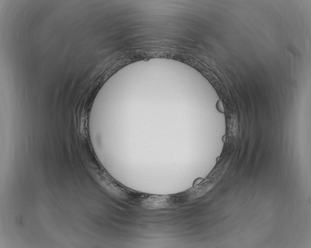 X0000110890138200906181014
