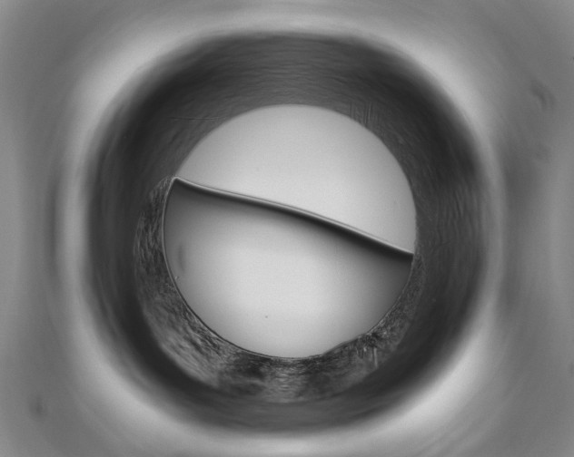 X0000110890143200906181014